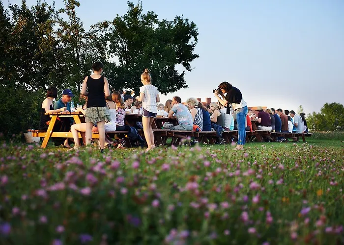 Letniskowe Mamry * Węgorzewo